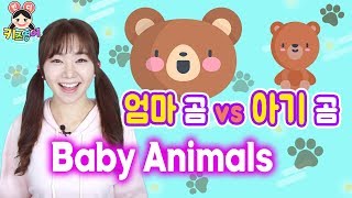 엄마동물과 아기동물의 이름이 다르다고? Baby Animals | 키즈영어 민디