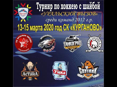Прямая трансляция хоккейного турнира 'УРАЛЬСКИЙ ВЫЗОВ' среди команд 2012 г.р., и младше.