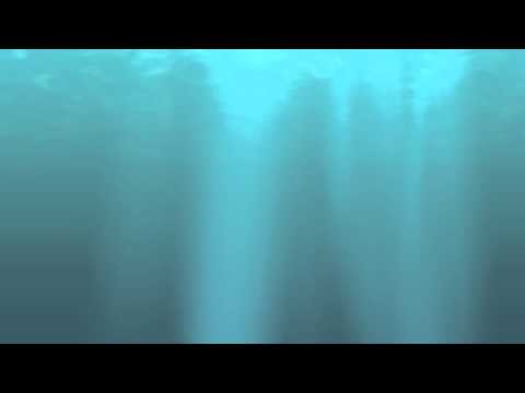 Screeching Weasel -- Cool Kids