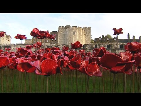 British use poppies to commemorate WWI