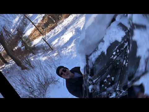 December Snow 2020 Linden Home