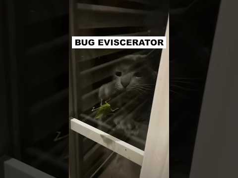 So close 🗡 #metal #deathcore #deathmetal #metalmemes #heavymetal