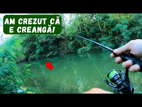 PESCUIT la CLEAN intr-un mic PARADIS (Loc Nou!)