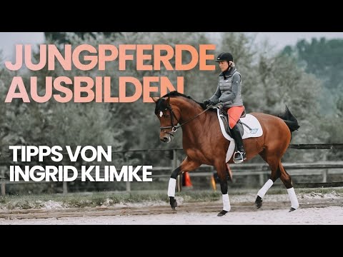 Takt, Losgelassenheit & Anlehnung erarbeiten | Soma Bay | Ingrid Klimke