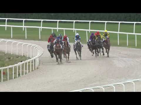 2020.06.14. 06. futam - CASINO ROYAL HENDIKEP (III.o.) (szintetikus pálya)