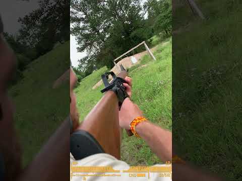 New Vegas Service Rifle