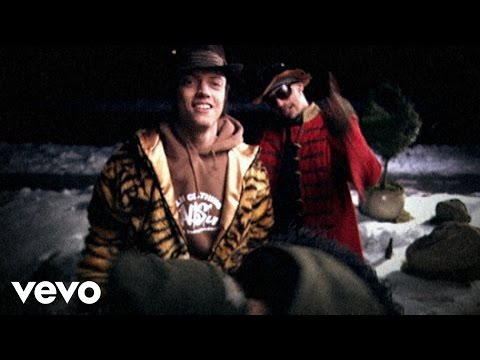 Bikstok Røgsystem - DK's Koner