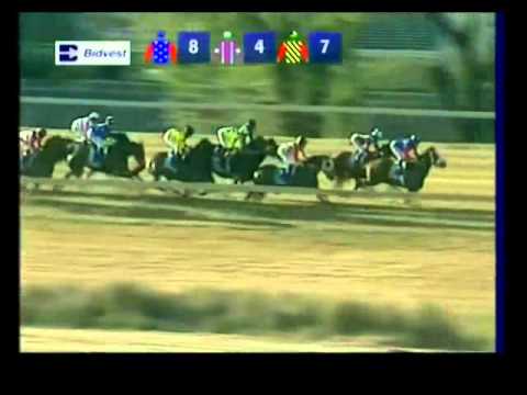 Emblem Royale - Racing Association