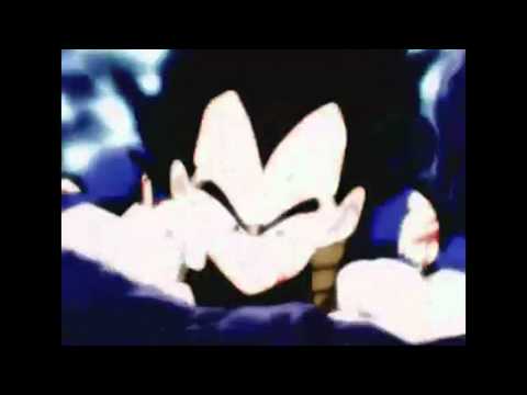 Vegeta Will Go On Until The End..