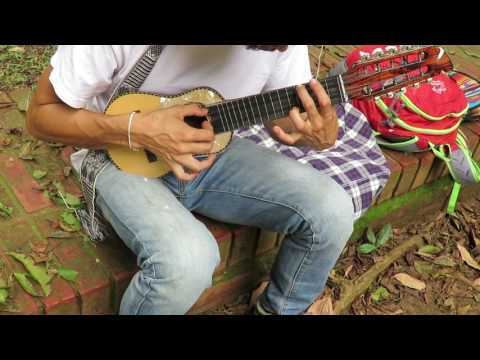 El Mini-Concierto de Charango para 2