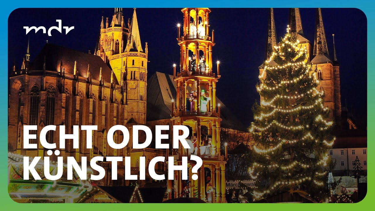Steht in Erfurt bald ein künstlicher Weihnachtsbaum? | MDR um 4 | MDR