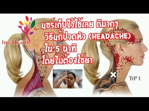แรง bady ในผู้ชาย วิธีการเพิ่มขนาดอวัยวะเพศชาย