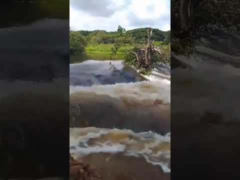 Las Cotuas Biruaca Apure anegado