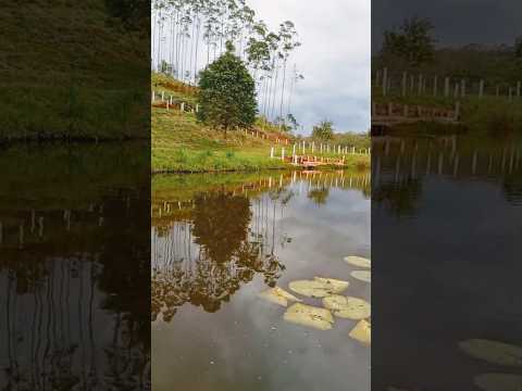 Vale do Peixe, São Miguel Arcanjo SP. #fazenda #roça #pescaria #natureza #turismorural