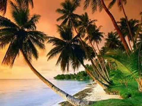 Jayme feat El Damia and Blood P2A -  Two Hearts