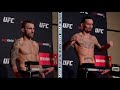UFC 245 Weigh-Ins: Alexander Volkanovski, Max Holloway Make Weight - MMA Fighting