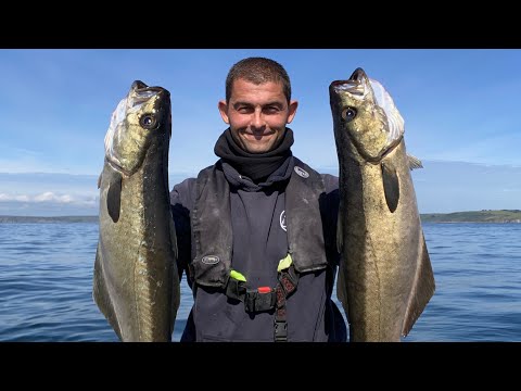 INCREDIBLE Pollack Fishing - Small Boat fishing in Cornwall