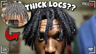 How to Get Thicker Locs | 17 Month Loc Update