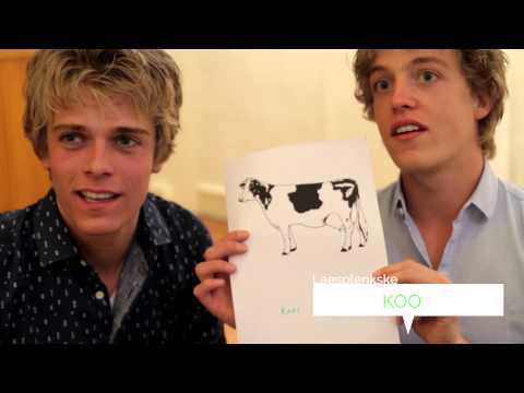 De breurkes Jussen hebbe waal alles gegaeve!