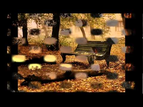 Mircea Bucsok-Vino la mine.mpg