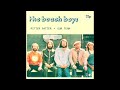 The Beach Boys - Pitter Patter (Early Thunderstorms Mix)
