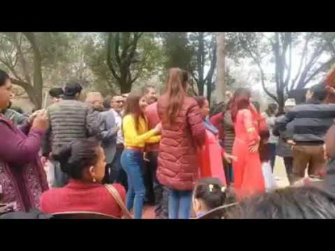 supari jaiko mala (Gamnang tar picnic2076)