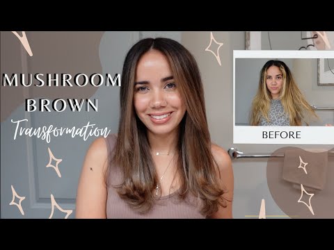 Mushroom Brown Hair Transformation Using Toner |...