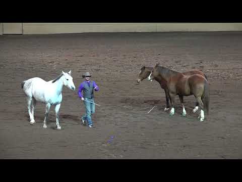 2nd Half Set - Night of the Horse 2018 - Del Mar National Horse Show