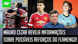 ‘Esse jogador virá para o Flamengo se…’; Mauro Cezar fala tudo sobre possível reforço