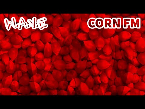Ten Dixon | Corn FM 🌽 (Prod. By Efflex) FUNKY DEE DISS
