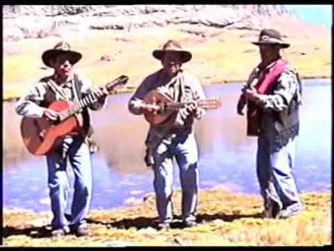 TORIL DE APURIMAC GRAU