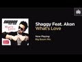 Shaggy Feat. Akon - What's Love (Big Boom Mix)