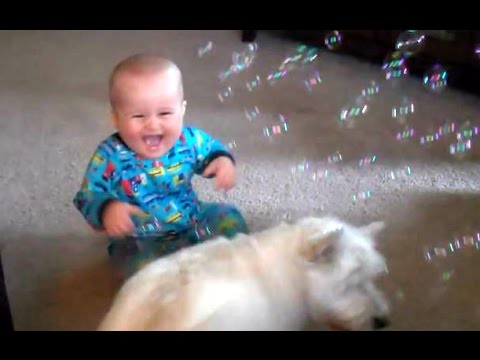 download lagu mp3 mp4 Dog Bubbles, download lagu Dog Bubbles gratis, unduh video klip Dog Bubbles
