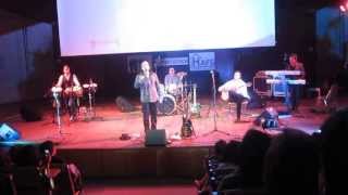 Ehsan Aman live in Hamburg 2013 - Chaudhvin ka chand ho