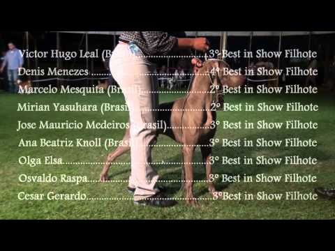 Kingship Weimar Dracco   BIS   KCFLU   agosto 2012