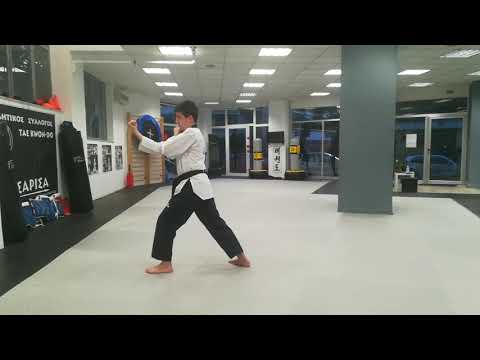 1st Online European Poomsae Championship 2020 Ilias Mpotinis Taegeuk Yuk Jang-Pal Jang