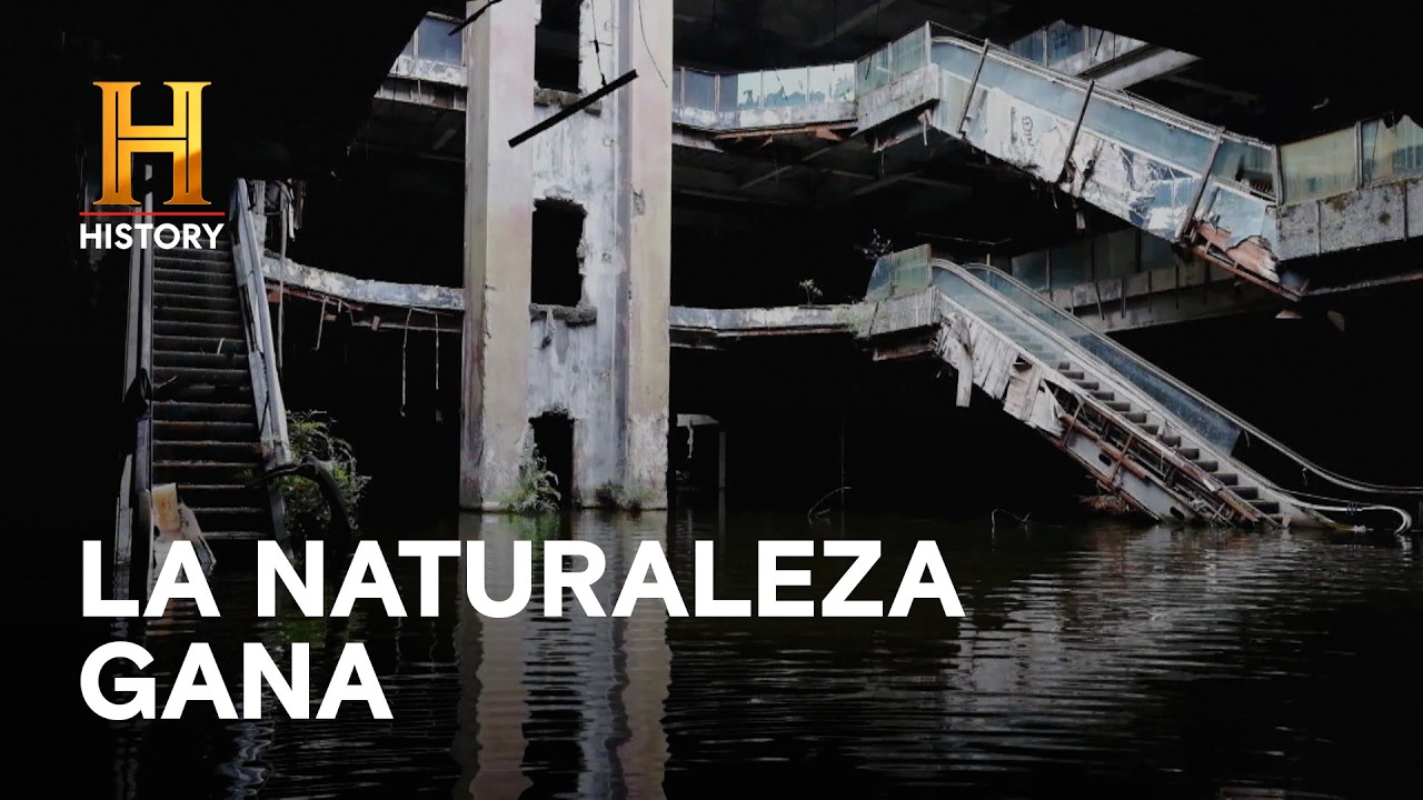 15 Años Después: La Naturaleza Derrumba las Construcciones - LA TIERRA SIN HUMANOS