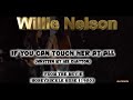 Willie Nelson - If You Can Touch Her at All (1980)