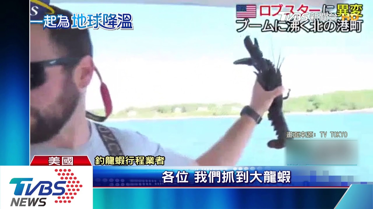 大西洋海水溫上升 美東岸龍蝦生態危機