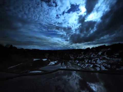 Ray Harmony - Skylines (ft.Headhunter)