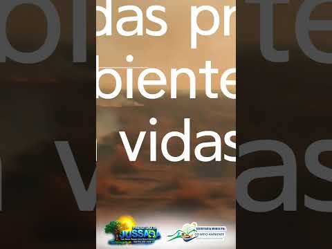 Diga não a queimada em Jussara Goiás