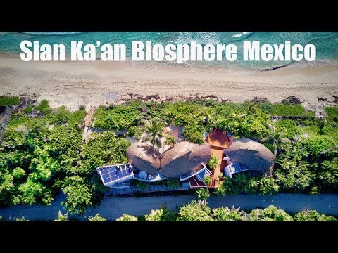 Videos del Beachfront House Sian Kaan 5★ en Tulum, MéxicoVer MásVerPrecios3CerrarConsulta por Whatsapp 🇦🇷BookingSkyscannerTrivago