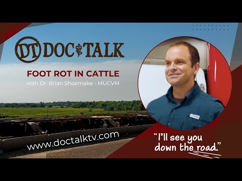 DocTalk Ep 445 - Foot Rot with Dr. Brian Showmake