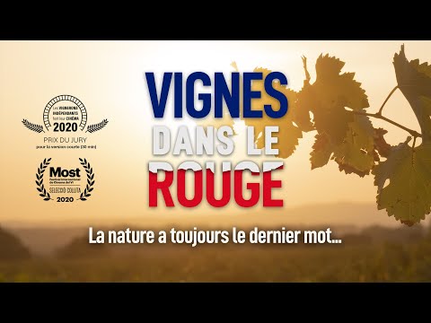 Vignes dans le Rouge - Teaser 1