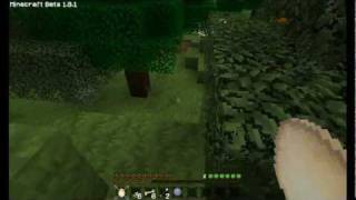 preview picture of video 'HotB Minecraft - Hallstrom Series Ep 4'