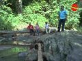 Shodha ಶೋಧ 2009 Feat Mahesh Ganashree Classical Kannada Movie