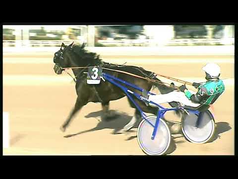 Trotto 30/10/2020 - 4ª corsa