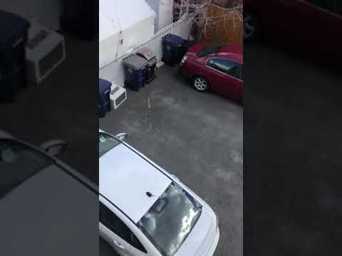 193 Bow St. #2 Everett MA