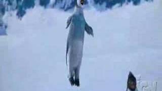 Happy Feet - Optimissed