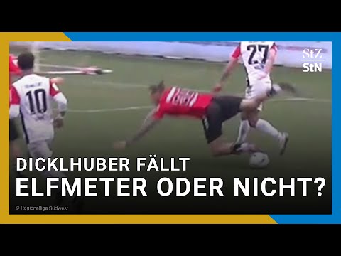 1. Göppinger SV - Eintracht Frankfurt II | Highlights 26. Spieltag [Regionalliga Südwest]